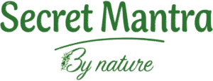 logo name smbn